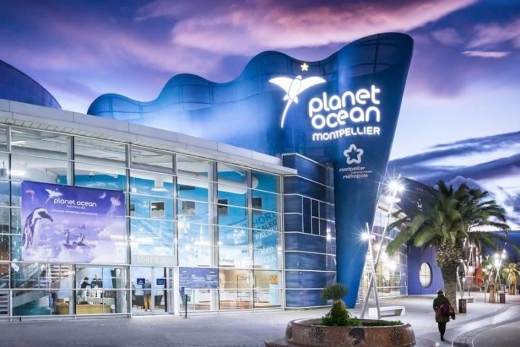 Confort Climatise Et Suite Privee En Sousplex Montpellier Exteriér fotografie
